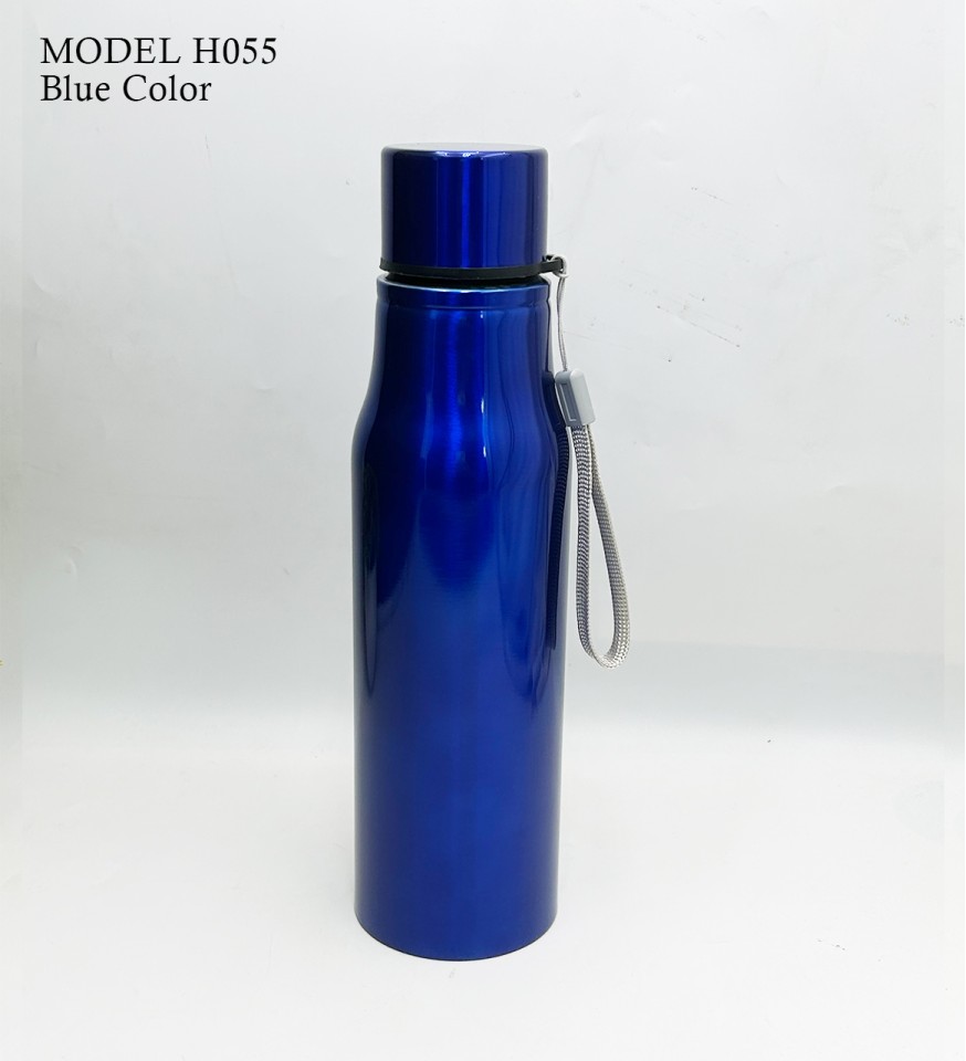 800ml Stainless Steel Water Bottle | Leak-Proof & Branded – H055